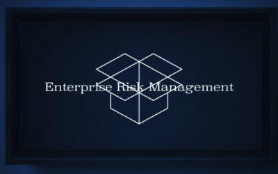 Beyond Risk Management
